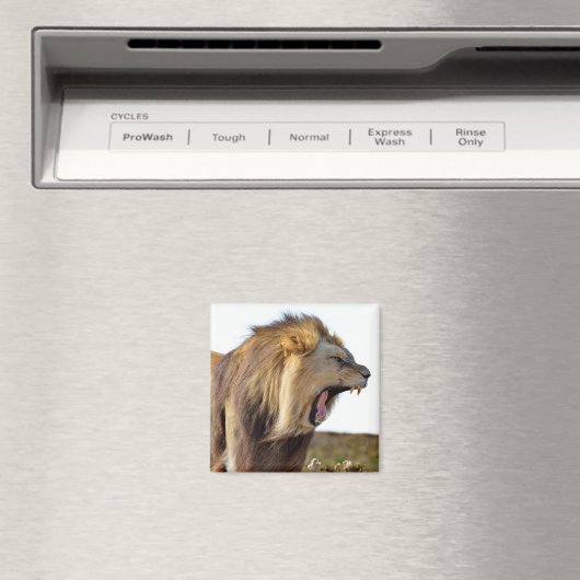 歯ぎしり マグネット (インサイチュ (食洗機))