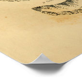 歯による馬の年齢の解剖学ヴィンテージプリント ポスター (角)