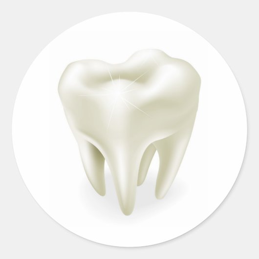 歯のイラストレーション ラウンドシール (正面)