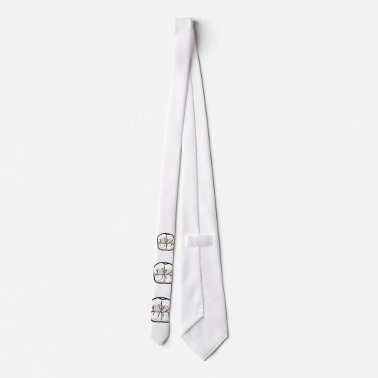 歯のタイ ネクタイ (裏面)