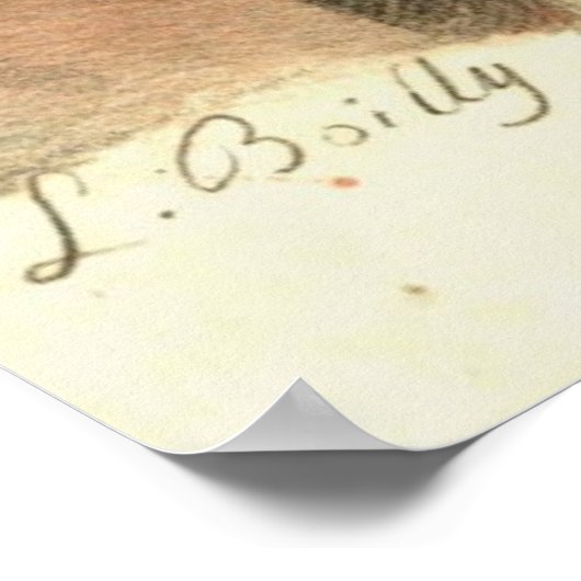 歯の抽出1790 ポスター (角)