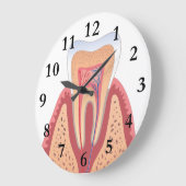 歯の構造 ラージ壁時計 (傾斜)
