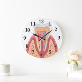 歯の構造 ラージ壁時計 (ホーム)