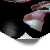 歯の衛生 – Στοματική Υγιεινή ポスター (コーナー)