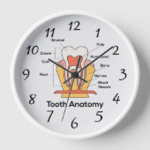 歯の解剖図の大きな壁時計 壁時計 (正面)