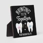 歯を合わせる – 歯科矯正医 フォトプラーク (正面)