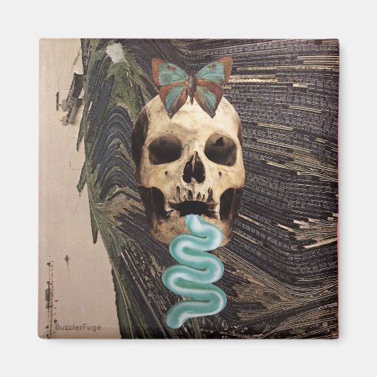 歯を磨く – マグネット (正面)