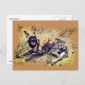 歯を見せるアフリカの野犬 ポストカード (正面/裏面)