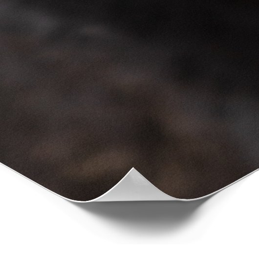 歯を見せる馬 ポスター (角)