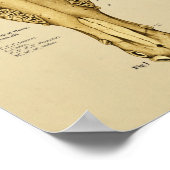 歯ウマ科のによる馬の解剖学的年齢 ポスター (角)