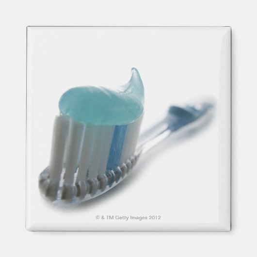 歯ブラシ及び歯磨き粉 マグネット (正面)