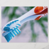 歯ブラシ チラシ (正面)