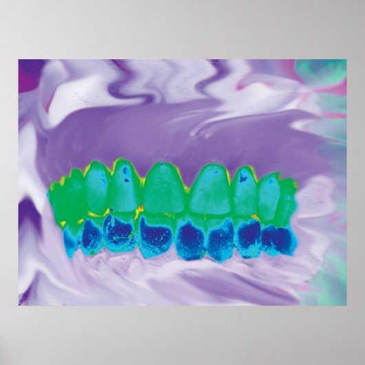 歯モデルを特徴とするカラフル解剖学 ポスター (正面)