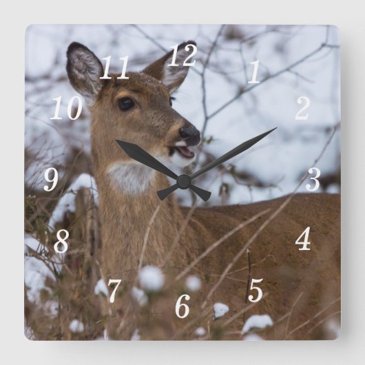 歯切れの良い壁時計 スクエア壁時計 (正面)