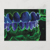 歯型熱狂する歯科医歯科矯正医カード ポストカード (正面)