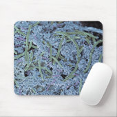 歯垢、色付き走査電子 マウスパッド (マウス)