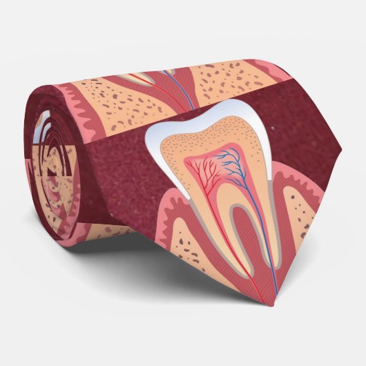 歯構造 ネクタイ (ロール)