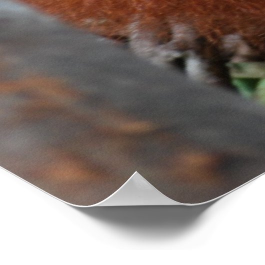 歯気に浮き小児歯科 ポスター (角)