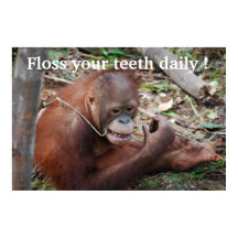 歯気に浮き小児歯科