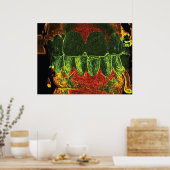 歯熱狂する噛み歯科歯科矯正医ポスター ポスター (キッチン)