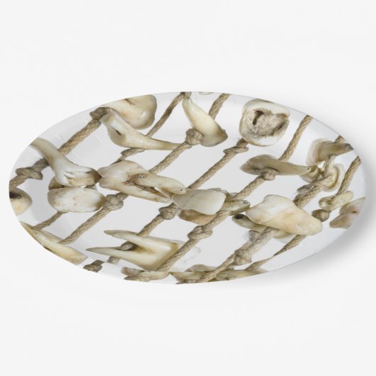 歯科写真おもしろい採取歯科医 ペーパープレート (アングル)