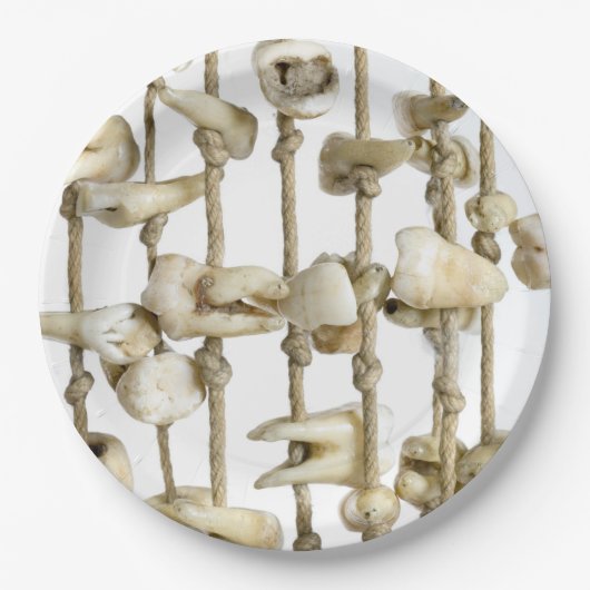 歯科写真おもしろい採取歯科医 ペーパープレート (正面)