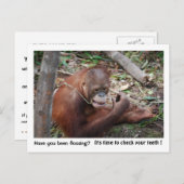 歯科医のアポイントメントのアラーム ポストカード (正面/裏面)