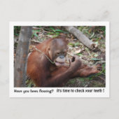 歯科医のアポイントメントのアラーム ポストカード (正面)