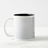 歯科医の楽器 ツートーンマグカップ (左)