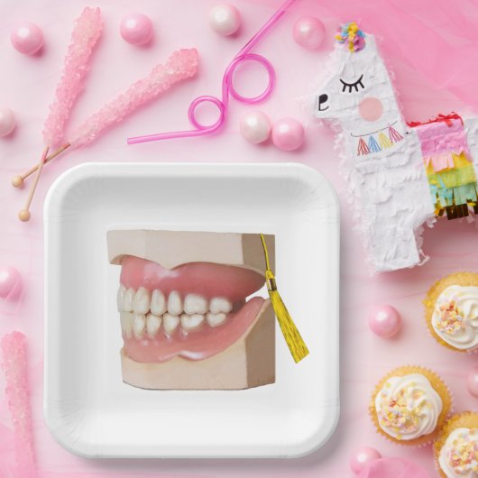 歯科医師学校卒業会 ペーパープレート (パーティー)