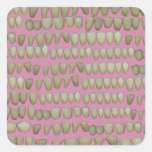 歯科医歯科歯列矯正腐敗歯口 スクエアシール (正面)