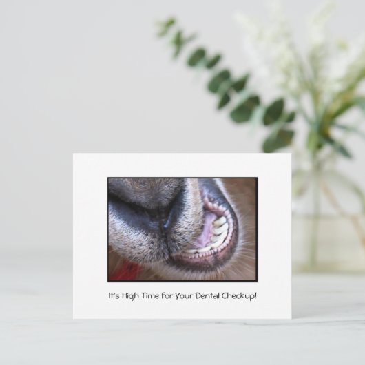 歯科検おもしろい査アポイントメント用リマインダヤギ ポストカード (スタンド正面)