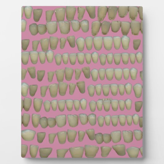 歯科歯科歯科矯正用腐歯口 フォトプラーク (正面)