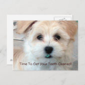 歯科用催促はがき ポストカード (正面/裏面)