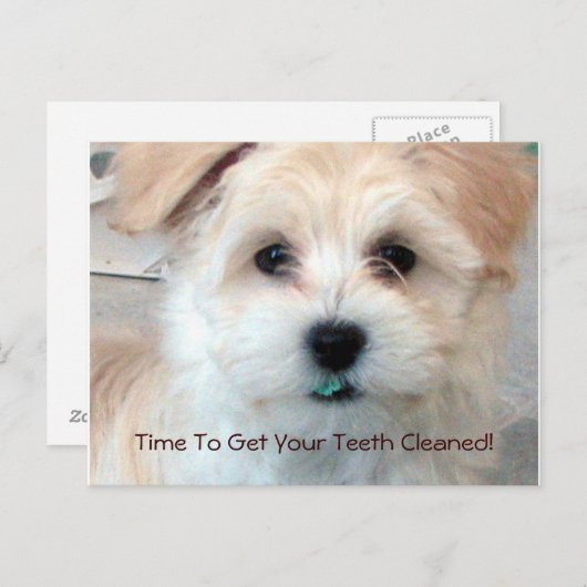 歯科用催促はがき ポストカード (正面/裏面)