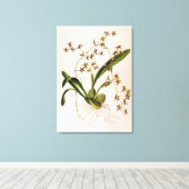 歯舌側耳管 キャンバスプリント (インサイチュ (ウッドフロア))