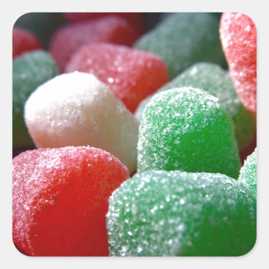 歯茎が落ちる スクエアシール (正面)