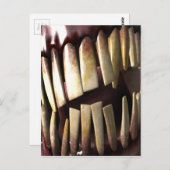 歯 ポストカード (正面/裏面)