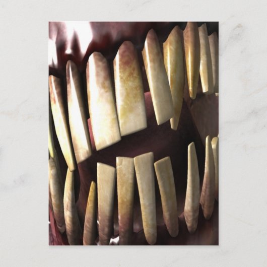 歯 ポストカード (正面)