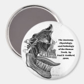 "歯" マグネット (正面/裏面)