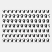 歯 ラッピングペーパーシート (正面3)