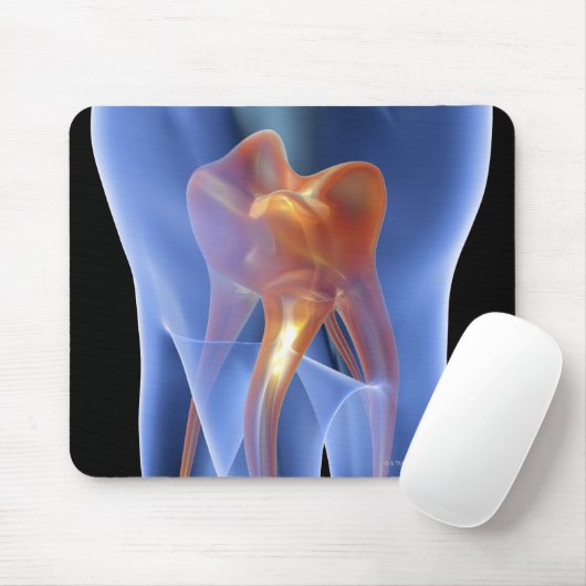 歯、臼歯の透明な断面 マウスパッド (マウス)