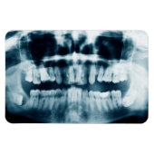 歯X線 マグネット (横)