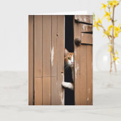 歳をとる 誕生日 バーン 猫 カード (黄色い花)