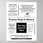 歴史の中で有名な犬 ポスター (正面)