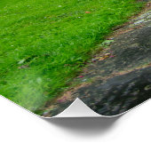 歴史への道：ウェールズの聖アサーフ教会 ポスター (コーナー)