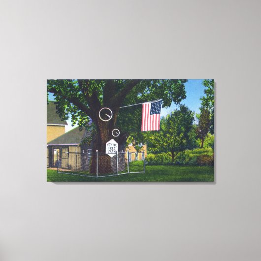 歴史地区のツリーファームの表示 キャンバスプリント (正面)