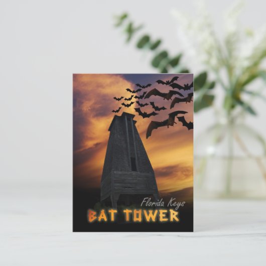 歴史的こうもりタワー,シュガローフ鍵,フロリダ ポストカード (スタンド正面)