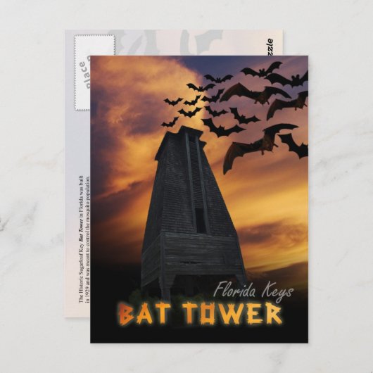 歴史的こうもりタワー，シュガローフ鍵，フロリダ ポストカード (正面/裏面)