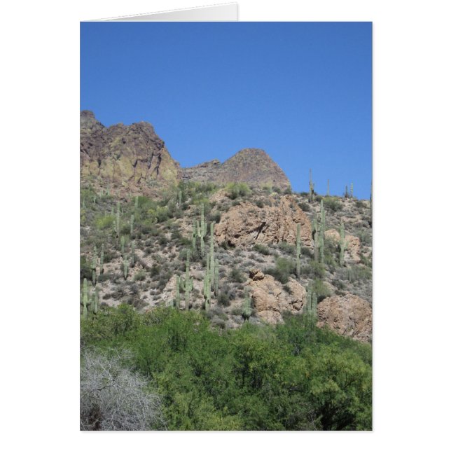 歴史的なアパッチの軌跡 (正面)